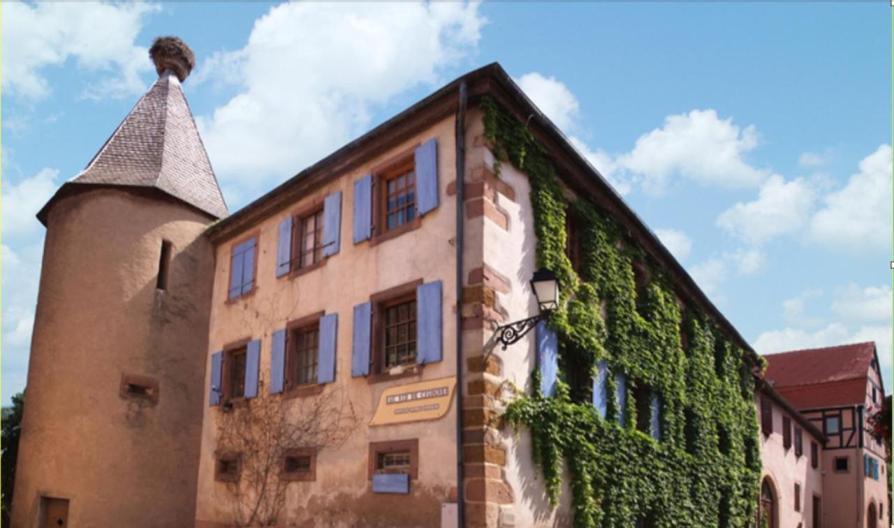 Au Nid De Cigogne Apartment Zellenberg Exterior foto