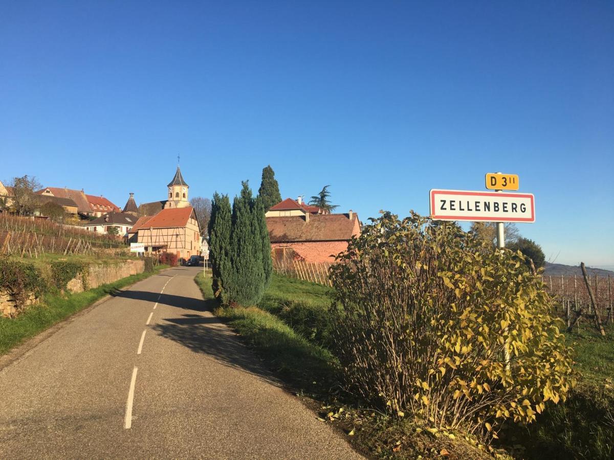 Au Nid De Cigogne Apartment Zellenberg Exterior foto